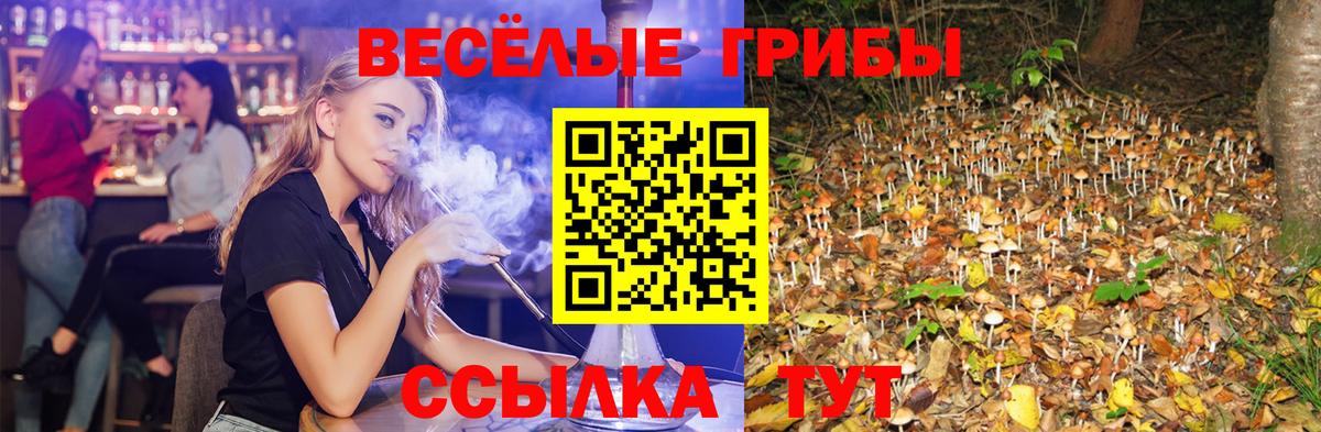 Галлюциногенные грибы Psilocybine cubensis  Вход с VPN  Подольск 